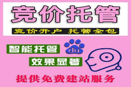 sem代运营机构经典案例：提升广告投放效果
